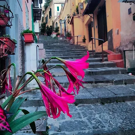 Casa Dolce Casa Luxury 4*